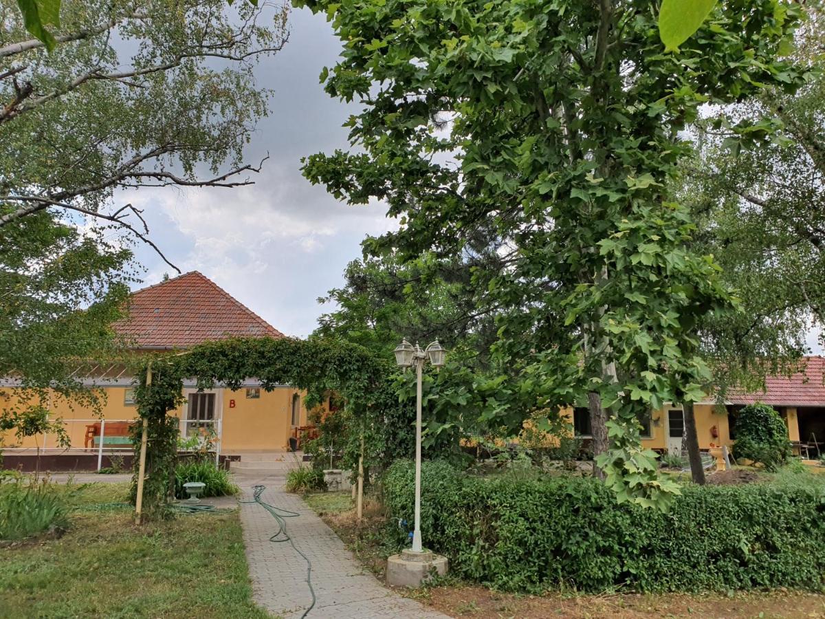 Platan Szallashely Hotel Sándorfalva Eksteriør billede